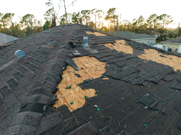 Best Rubber Roofing (EPDM, TPO)  in West Livingston, TX